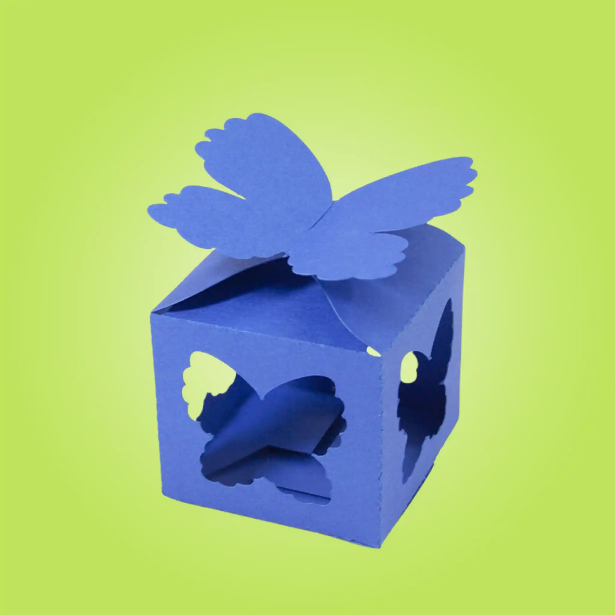 Custom Butterfly Gift Boxes