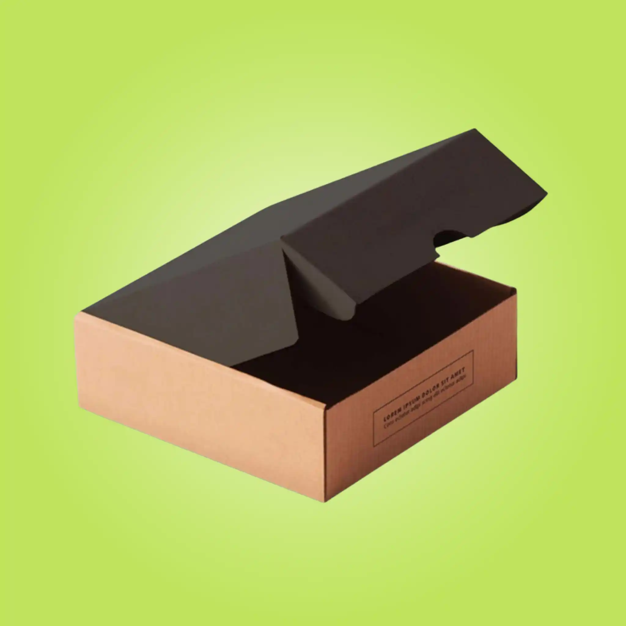 Custom Kraft Mailer Boxes