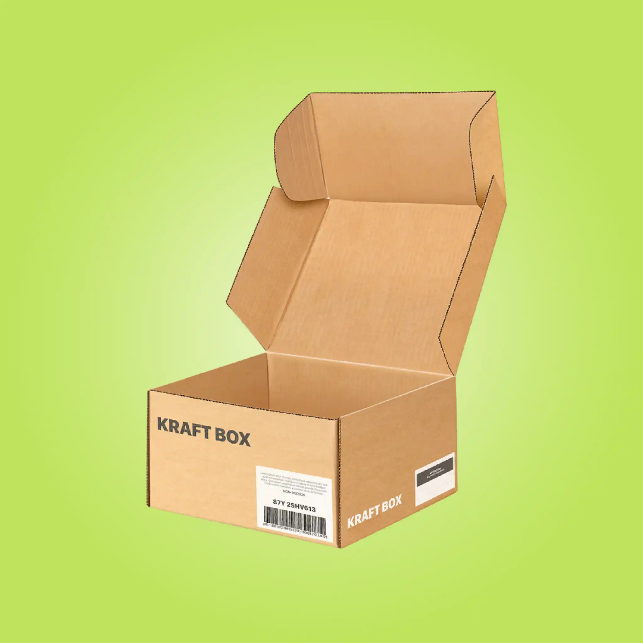 Custom Kraft Mailer Boxes