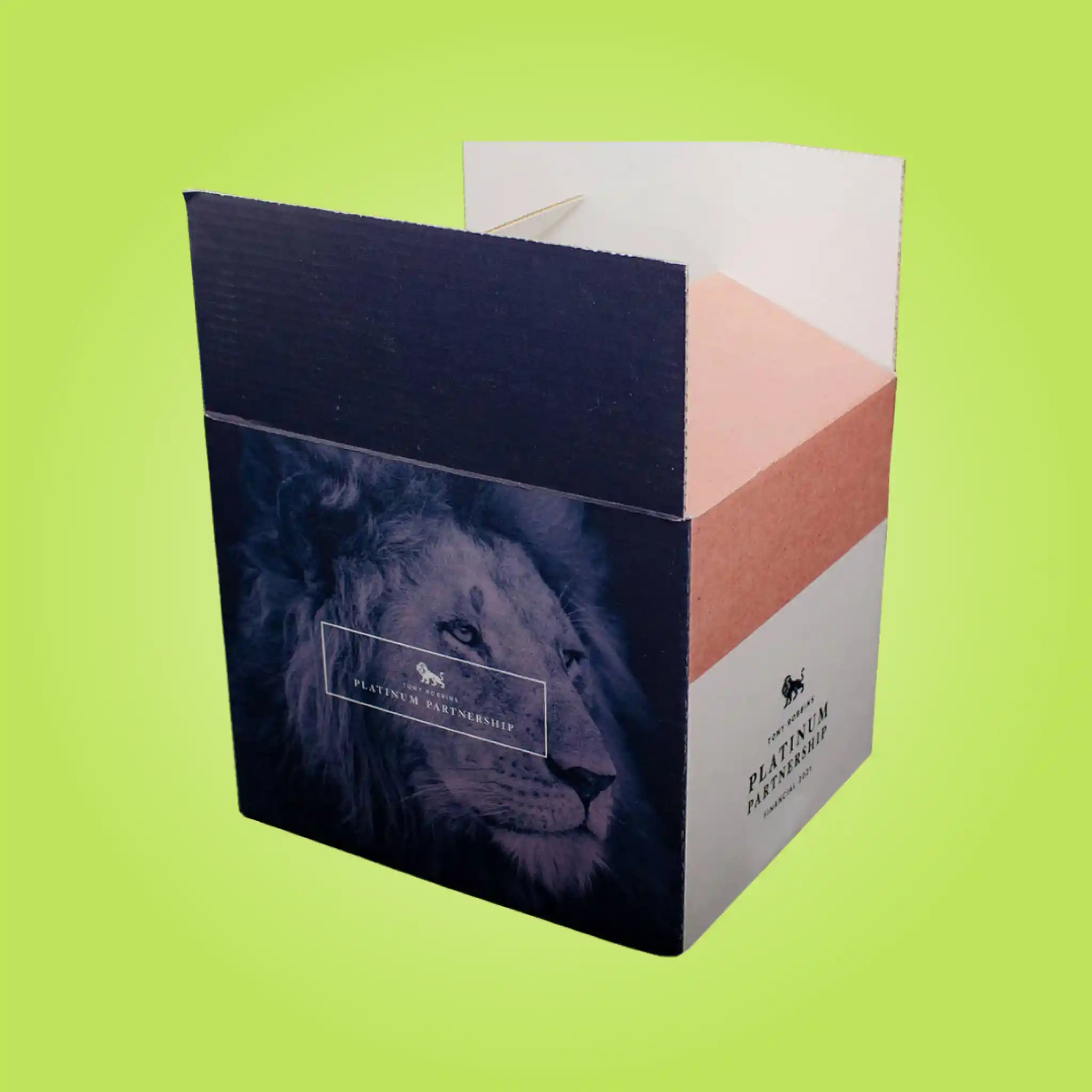 Custom Slotted boxes