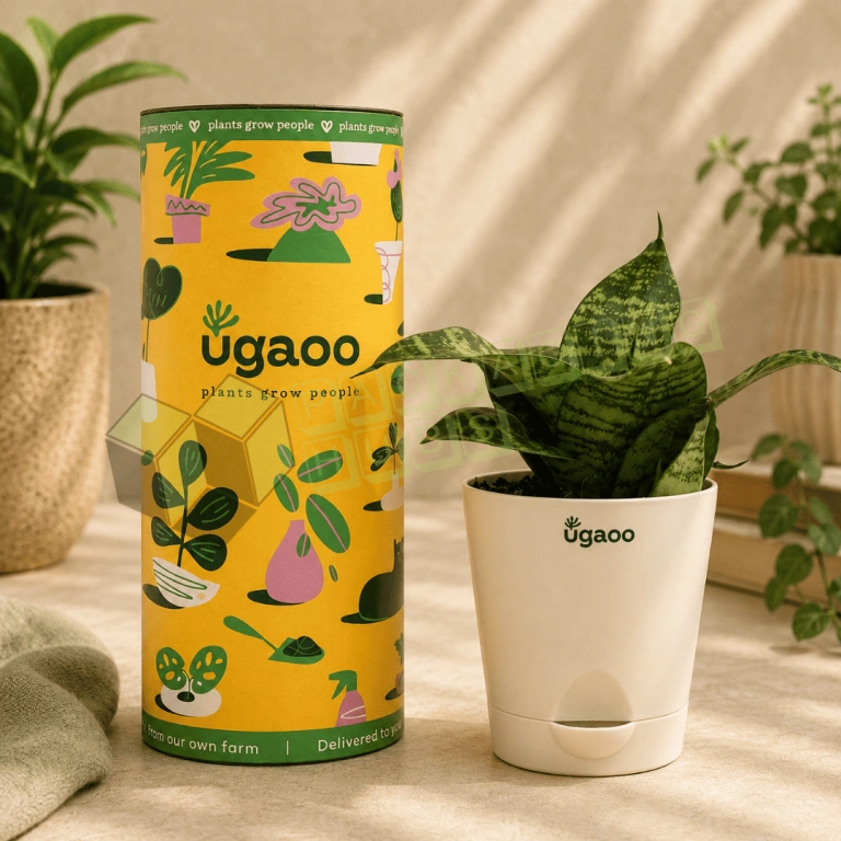 plant packaging